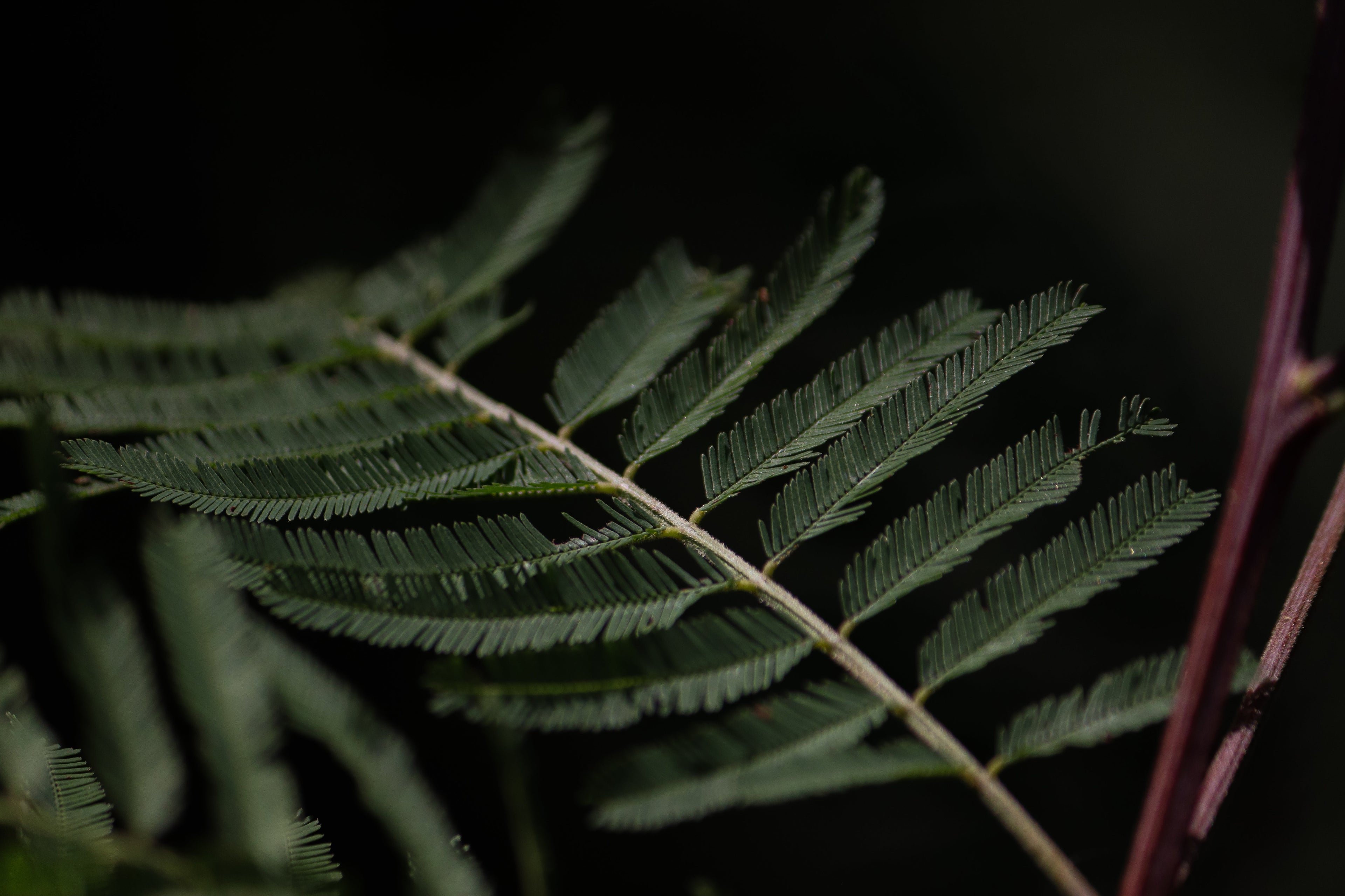 C-PTSD Lived Experience: Part 1